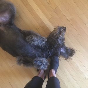 Meet your Posher, Reve